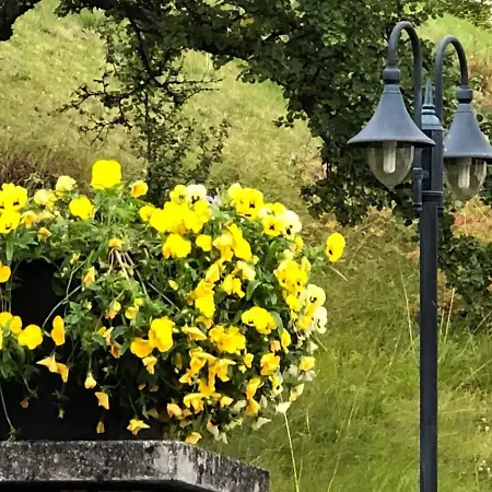 The Arctic Daire Tromsø