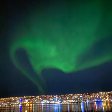The Arctic Appartement