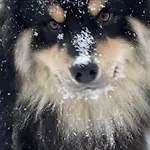 The Arctic 公寓 特罗姆瑟